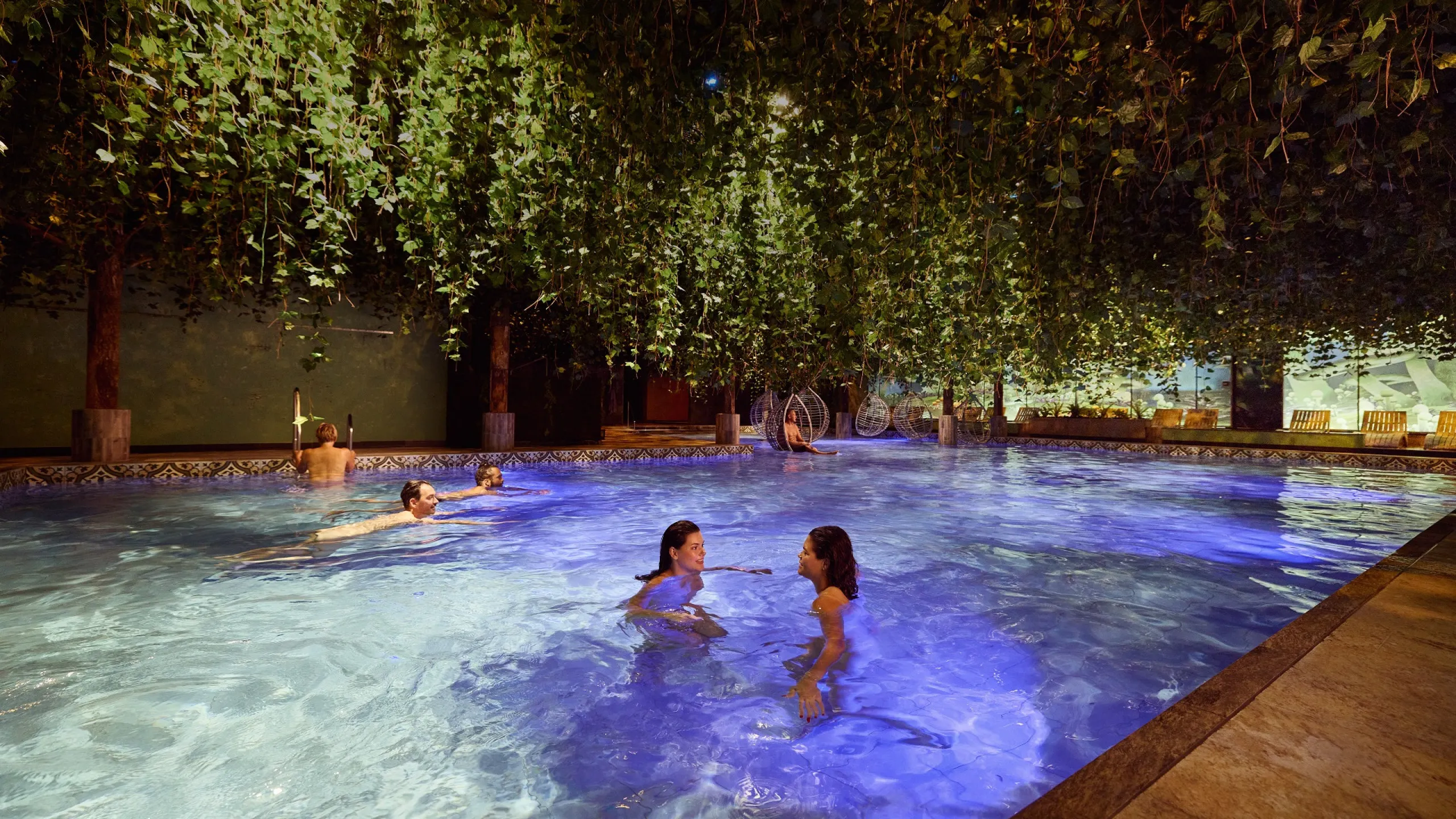 Elysium Wellness